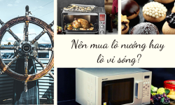 Chia sẻ kinh nghiệm – Nên mua lò nướng hay lò vi sóng? Chia sẻ kinh nghiệm – Nên mua lò nướng hay lò vi sóng?