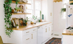 Top 5 cây xanh trong nhà bếp theo phong thủy nên trồng nhất Top 5 cây xanh trong nhà bếp theo phong thủy nên trồng nhất